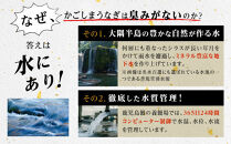 【6回定期】うなぎ&nbsp;蒲焼&nbsp;160g×5尾【鹿児島産】地下水で育てた絶品鰻