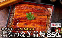 【3回定期】うなぎ&nbsp;蒲焼&nbsp;170g×5尾【鹿児島産】地下水で育てた絶品鰻