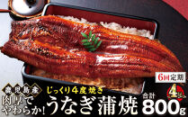 【6回定期】うなぎ&nbsp;蒲焼&nbsp;200g×4尾【鹿児島産】地下水で育てた絶品鰻