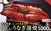 【6回定期】うなぎ&nbsp;蒲焼&nbsp;200g×5尾【鹿児島産】地下水で育てた絶品鰻