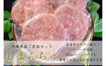しまんちゅセット(ハンバーグ200g×4個)