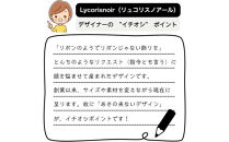 フォーマルバッグ　LN-B26