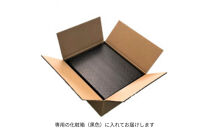 フォーマルバッグ　LN-B26