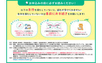 御前崎市産CO2フリーでんき&nbsp;150,000&nbsp;円コース（注：お申込み前に申込条件を必ずご確認ください）