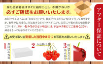 【先行予約】さくらんぼ佐藤錦&nbsp;450g×2パック&nbsp;Mサイズ(2026年7月上旬から発送開始予定)_05816