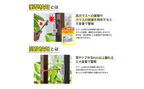 窓ピタッアラーム衝撃＆開放検知４Ｐ　ASA-W13-N4P(W)