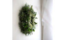 【母の日】森の香りのグリーンリース【生花&nbsp;リース&nbsp;植物&nbsp;フレッシュ&nbsp;森&nbsp;癒し&nbsp;観葉植物&nbsp;贈り物&nbsp;母の日&nbsp;おすすめ&nbsp;人気&nbsp;鳥取県&nbsp;北栄町&nbsp;手作り】