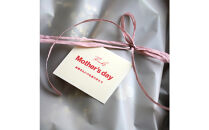 【母の日】森の香りのグリーンリース【生花&nbsp;リース&nbsp;植物&nbsp;フレッシュ&nbsp;森&nbsp;癒し&nbsp;観葉植物&nbsp;贈り物&nbsp;母の日&nbsp;おすすめ&nbsp;人気&nbsp;鳥取県&nbsp;北栄町&nbsp;手作り】