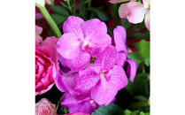 【母の日】華やかに贈るおまかせアレンジメント&nbsp;※北海道・沖縄・離島への配送不可&nbsp;【花&nbsp;ガーデン&nbsp;フラワーアレンジメント&nbsp;生花&nbsp;植物&nbsp;フレッシュ&nbsp;癒し&nbsp;花束&nbsp;観葉植物&nbsp;贈り物&nbsp;母の日&nbsp;おすすめ&nbsp;人気&nbsp;鳥取県&nbsp;北栄町&nbsp;手作り】