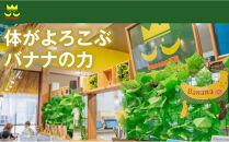 【定期便6ヶ月】【ご褒美スイーツセット】プレミアム生バナナアイスクリーム（90ml×6個）・プレミアムバナナチップス（120g×2個）1セット｜お菓子&nbsp;デザート&nbsp;詰め合わせ&nbsp;食べ比べ&nbsp;ご褒美&nbsp;人気&nbsp;ギフト&nbsp;プレゼント&nbsp;手土産&nbsp;お祝い&nbsp;お配り&nbsp;来客用&nbsp;女性向け&nbsp;おしゃれ&nbsp;おうちカフェ&nbsp;お取り寄せ&nbsp;贅沢&nbsp;愛知県&nbsp;名古屋市