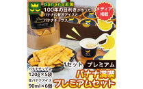 【満喫プレミアムセット】プレミアム生バナナアイスクリーム（90ml×6個）・プレミアムバナナチップス&nbsp;（120g×5個）&nbsp;1セット｜お菓子&nbsp;デザート&nbsp;詰め合わせ&nbsp;食べ比べ&nbsp;ご褒美&nbsp;人気&nbsp;ギフト&nbsp;プレゼント&nbsp;手土産&nbsp;お祝い&nbsp;お配り&nbsp;来客用&nbsp;女性向け&nbsp;おしゃれ&nbsp;おうちカフェ&nbsp;お取り寄せ&nbsp;贅沢&nbsp;愛知県&nbsp;名古屋市