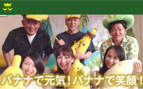 【満喫プレミアムセット】プレミアム生バナナアイスクリーム（90ml×6個）・プレミアムバナナチップス&nbsp;（120g×5個）&nbsp;3セット｜お菓子&nbsp;デザート&nbsp;詰め合わせ&nbsp;食べ比べ&nbsp;ご褒美&nbsp;人気&nbsp;ギフト&nbsp;プレゼント&nbsp;手土産&nbsp;お祝い&nbsp;お配り&nbsp;来客用&nbsp;女性向け&nbsp;おしゃれ&nbsp;おうちカフェ&nbsp;お取り寄せ&nbsp;贅沢&nbsp;愛知県&nbsp;名古屋市