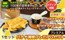 【定期便12ヶ月】【満喫プレミアムセット】プレミアム生バナナアイスクリーム（90ml×6個）・プレミアムバナナチップス&nbsp;（120g×5個）&nbsp;1セット｜お菓子&nbsp;デザート&nbsp;詰め合わせ&nbsp;食べ比べ&nbsp;ご褒美&nbsp;人気&nbsp;ギフト&nbsp;プレゼント&nbsp;手土産&nbsp;お祝い&nbsp;お配り&nbsp;来客用&nbsp;女性向け&nbsp;おしゃれ&nbsp;おうちカフェ&nbsp;お取り寄せ&nbsp;贅沢&nbsp;愛知県&nbsp;名古屋市