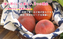 岡山の桃食べ尽くし&nbsp;ライトコース全7種（7回お届け）