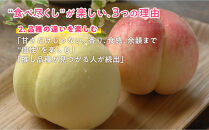 岡山の桃食べ尽くし&nbsp;ライトコース全7種（7回お届け）