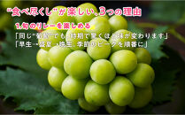 岡山のぶどう食べ尽くし&nbsp;マニアックコース全15種（15回お届け）