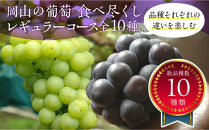 岡山のぶどう食べ尽くし&nbsp;レギュラーコース全10種（10回お届け）