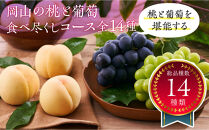 岡山の桃とぶどう&nbsp;食べ尽くしコース全14種（14回お届け）