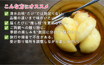 岡山の桃とぶどう&nbsp;食べ尽くしコース全14種（14回お届け）