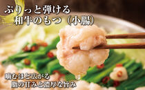 博多もつ鍋　小腸セットしょうゆ味（2～3人前）