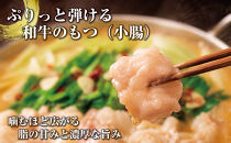 博多もつ鍋　小腸セット・みそ味（3~4人前）