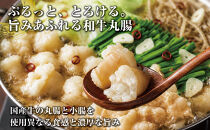 博多もつ鍋　小腸+丸腸セットしょうゆ味（4~5人前）