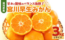 甘みと酸味のバランス抜群・宮川早生みかん　3kg(Lサイズ)&nbsp;|&nbsp;湯河原町&nbsp;Lサイズ&nbsp;3kg&nbsp;宮川早生みかん&nbsp;果物&nbsp;旬&nbsp;みかん&nbsp;フレッシュ