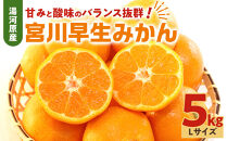 甘みと酸味のバランス抜群・宮川早生みかん　5kg(Lサイズ)&nbsp;|&nbsp;湯河原町&nbsp;Lサイズ&nbsp;5kg&nbsp;宮川早生みかん&nbsp;果物&nbsp;旬&nbsp;みかん&nbsp;フレッシュ