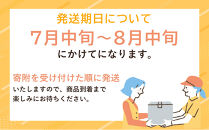 【高島屋選定品】〈フルーツアンシャンテ〉ＡＴ岡山白桃