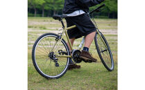 クロスバイク&nbsp;イーエムサイクルズ&nbsp;C101!&nbsp;45cm&nbsp;カーキ