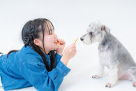 愛犬にもあげられるお菓子Chillわん&nbsp;スティックニョッキ&nbsp;|&nbsp;犬用おやつ&nbsp;ペット用品&nbsp;ペットフード&nbsp;送料無料&nbsp;長野県&nbsp;長野市&nbsp;信州&nbsp;信濃&nbsp;ふるさと納税