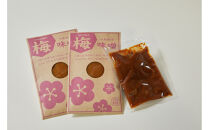 【小田原老舗田中屋本店が作る　梅味噌2個セット】小田原の梅がふわりと香る、やさしいコクの万能梅味噌