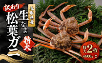 ＜11月中旬～2月下旬配送予定＞鳥取県産　訳あり生松葉ガニ（特大２枚）