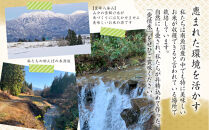 【令和８年産　新米予約&nbsp;】【生産者直送】【定期便１２ヶ月】南魚沼産こしひかり　白米5kg×全12回　合計60kg&nbsp;&nbsp;&nbsp;オグライスファーム＜コシヒカリ&nbsp;精米&nbsp;農家直送＞　2026年10月中旬頃から受付順に発送予定