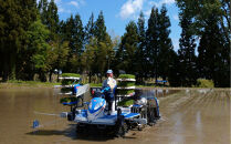 【令和８年産　新米予約&nbsp;】【生産者直送】【定期便１２ヶ月】南魚沼産こしひかり　白米5kg×全12回　合計60kg&nbsp;&nbsp;&nbsp;オグライスファーム＜コシヒカリ&nbsp;精米&nbsp;農家直送＞　2026年10月中旬頃から受付順に発送予定