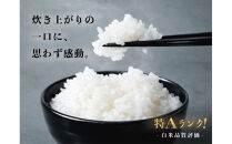 【南魚沼市食味コンテスト優秀賞】南魚沼産コシヒカリ&nbsp;白米10kg(5kg×2袋)｜薬師米（農家直送）令和7年産