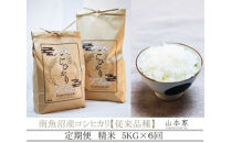 【令和8年産新米予約】【定期便】南魚沼産コシヒカリ【従来品種】精米5kg×6回&nbsp;山本家【2026年10月上旬より1ヶ月以内に順次発送予定】