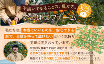 柑橘の庭&nbsp;マーマレード&nbsp;2種セット