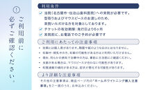 【ご来院必須】ホームホワイトニング　special&nbsp;whitening&nbsp;ticket　(専用マウスピース作製付）