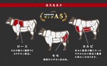 【父の日】鹿児島県産黒毛和牛　霜降（ロース・カルビ）赤身（モモ）焼き肉用