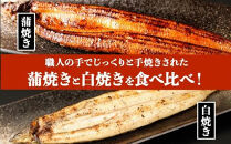 【父の日】鹿児島県大隅産　千歳鰻の白焼1尾・蒲焼き1尾　合計2尾セット