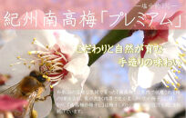【定期便・3ヵ月毎&nbsp;全3回】紀州南高梅&nbsp;プレミアム&nbsp;850g&nbsp;［YM12］