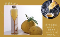 【Aperio】エマ京野菜ドレッシング４本セット｜京都&nbsp;ノンオイルドレッシング&nbsp;調味料&nbsp;人気［&nbsp;希少なブランド野菜たっぷり&nbsp;ヘルシー&nbsp;グルメ&nbsp;人気&nbsp;おすすめ&nbsp;ギフト&nbsp;プレゼント&nbsp;お取り寄せ&nbsp;通販&nbsp;送料無料&nbsp;ふるさと納税&nbsp;］