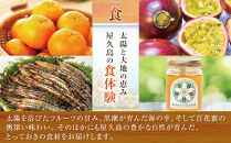 【定期便】屋久島縄文水&nbsp;2L×6本入り&nbsp;2ケース＜全12回＞