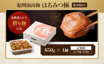 【定期便・2ヵ月毎&nbsp;全5回】紀州南高梅&nbsp;はちみつ極&nbsp;850g&nbsp;［YM10］