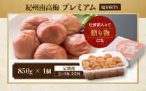 【定期便・2ヵ月毎&nbsp;全5回】紀州南高梅&nbsp;プレミアム&nbsp;850g&nbsp;［YM12］
