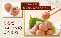 【定期便・2ヵ月毎&nbsp;全5回】紀州南高梅&nbsp;プレミアム&nbsp;850g&nbsp;［YM12］