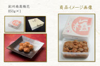 【定期便・2ヵ月毎&nbsp;全5回】紀州南高梅&nbsp;「花」&nbsp;850g&nbsp;［YM8］