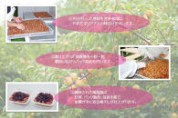 【定期便・3ヵ月毎&nbsp;全3回】紀州南高梅&nbsp;しそプレミアム&nbsp;850g&nbsp;［YM14］