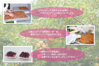 【定期便・3ヵ月毎&nbsp;全3回】紀州南高梅&nbsp;しそプレミアム&nbsp;850g&nbsp;［YM14］